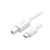 Câble USB 1m USB-C 2.0 to USB-B Ugreen 40560